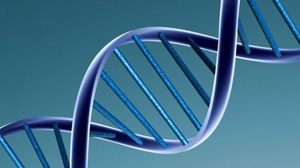  Planta de Biotecnologia